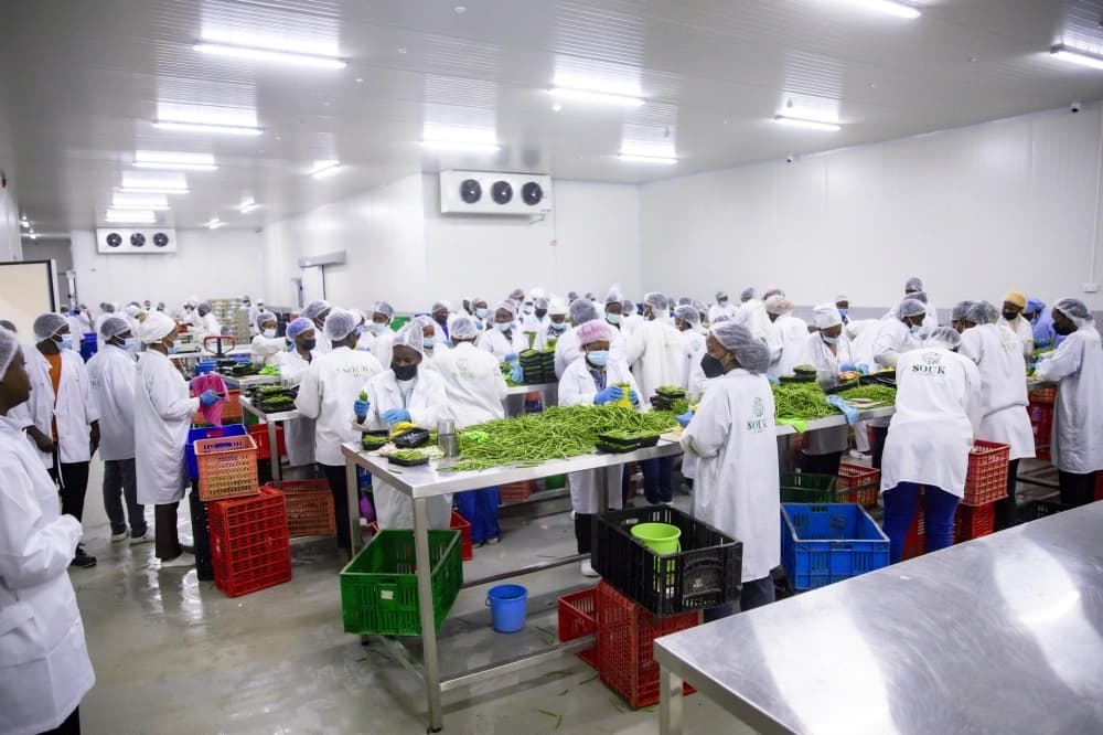 Cold Solutions Rwanda Secures $18M to Expand Cold Storage in Kigali-image